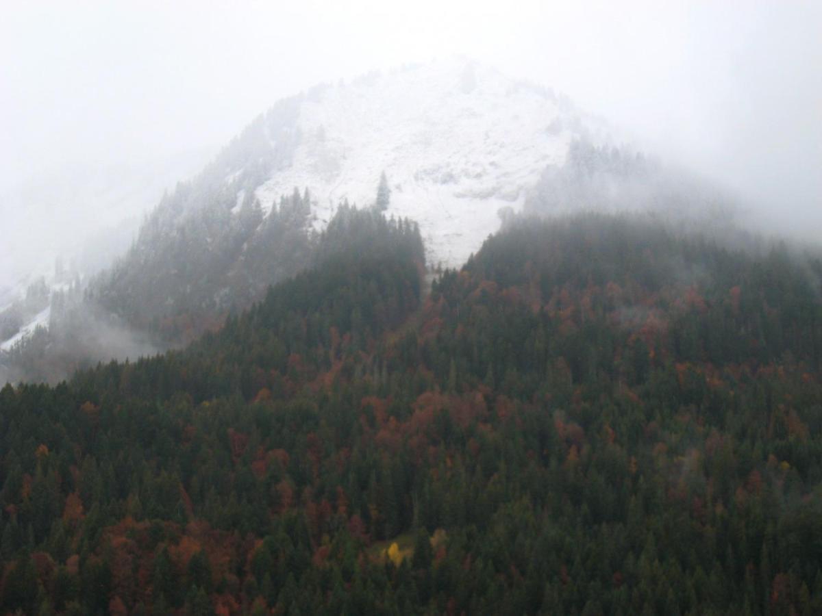 Appartement Au Pied Des Pistes, Avec Vue Sur La Montagne Bernex Esterno foto
